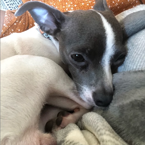 Welcome! ♥️ - Picture 4 of 4